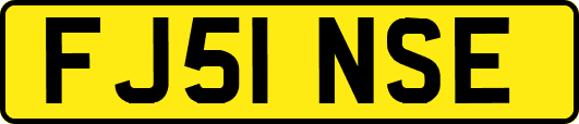 FJ51NSE