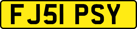 FJ51PSY