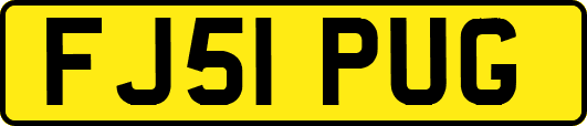 FJ51PUG