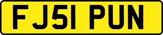 FJ51PUN