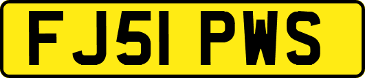 FJ51PWS