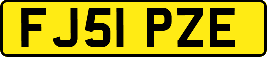 FJ51PZE