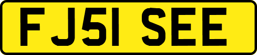 FJ51SEE