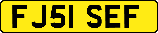 FJ51SEF