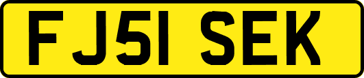 FJ51SEK