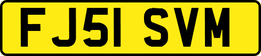 FJ51SVM
