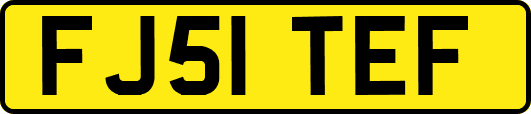 FJ51TEF