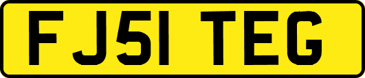 FJ51TEG