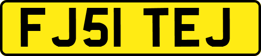 FJ51TEJ