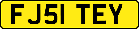 FJ51TEY