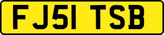 FJ51TSB