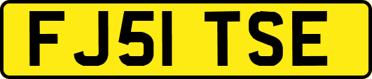 FJ51TSE