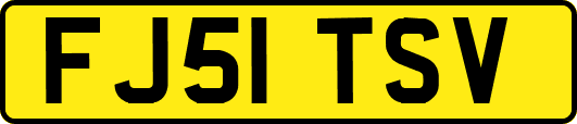 FJ51TSV