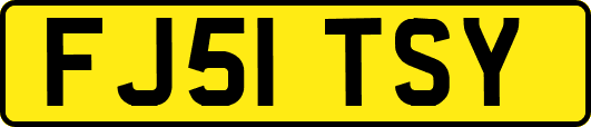 FJ51TSY