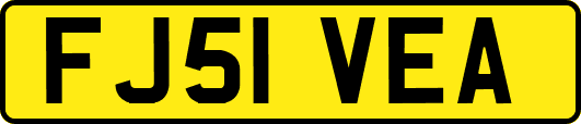 FJ51VEA