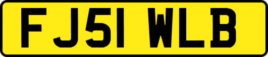 FJ51WLB