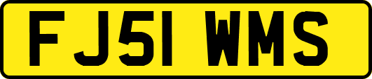 FJ51WMS