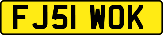 FJ51WOK
