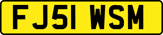 FJ51WSM