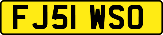 FJ51WSO