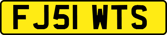 FJ51WTS