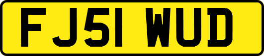 FJ51WUD