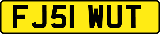 FJ51WUT