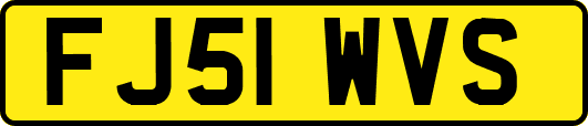 FJ51WVS