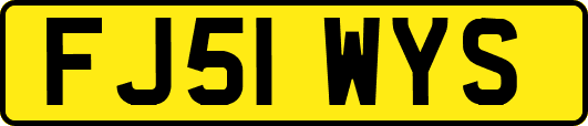 FJ51WYS