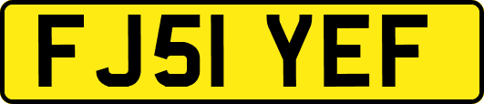 FJ51YEF