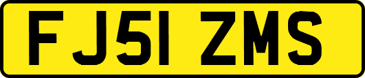 FJ51ZMS