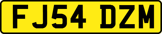 FJ54DZM
