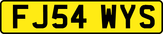 FJ54WYS