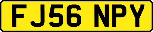 FJ56NPY