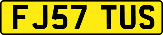 FJ57TUS