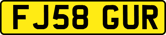 FJ58GUR