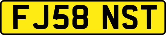 FJ58NST