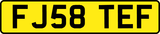 FJ58TEF