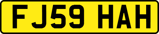 FJ59HAH