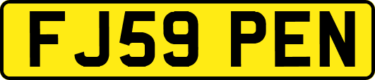 FJ59PEN
