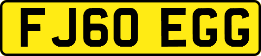 FJ60EGG