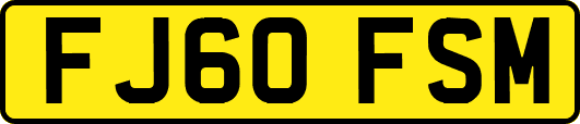 FJ60FSM