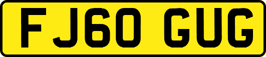FJ60GUG