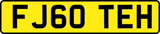 FJ60TEH