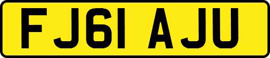 FJ61AJU