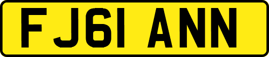 FJ61ANN