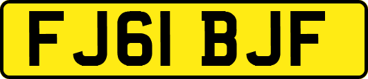 FJ61BJF