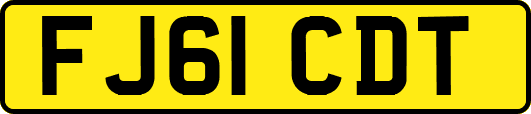 FJ61CDT