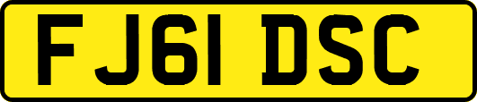 FJ61DSC