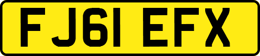 FJ61EFX